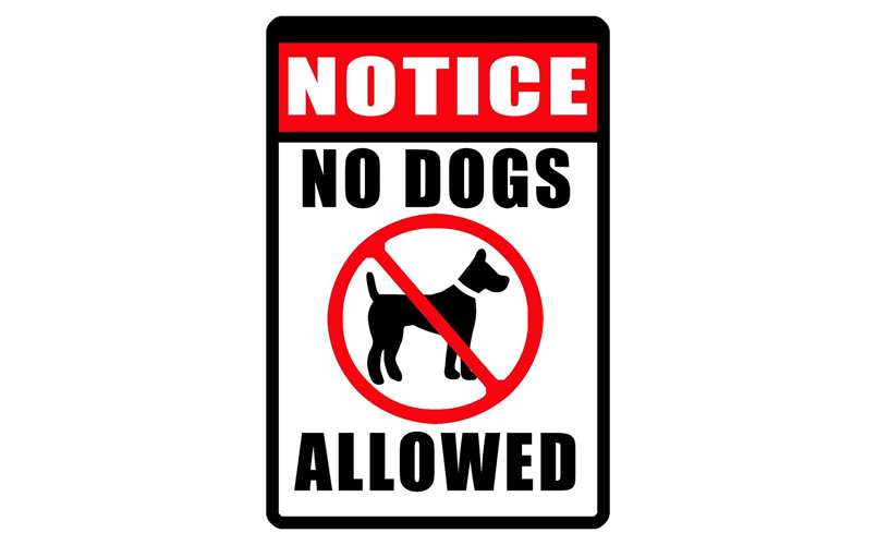 Notice: No Dogs Allowed at Magee Park